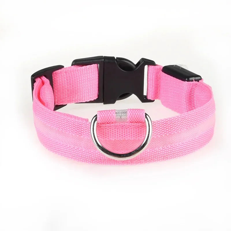LED-hundhalsband