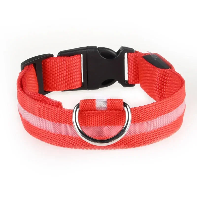 LED-hundhalsband