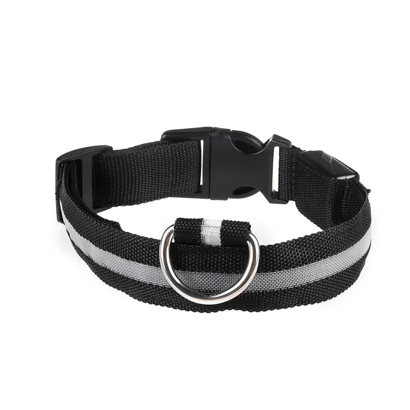 LED-hundhalsband