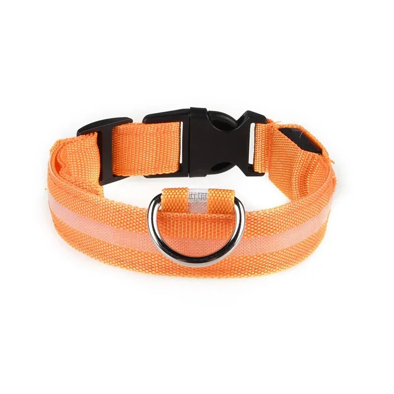 LED-hundhalsband
