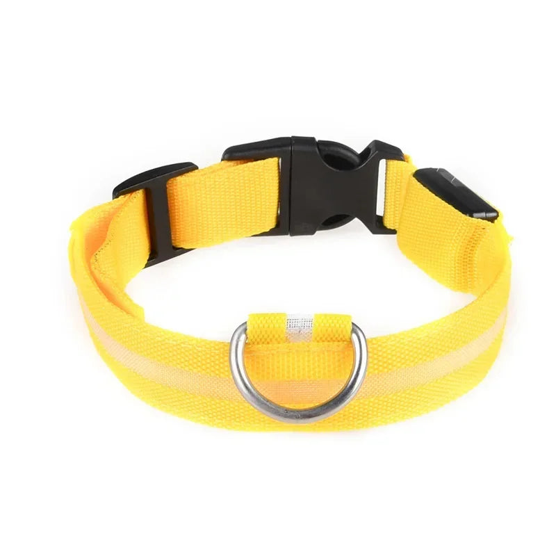 LED-hundhalsband