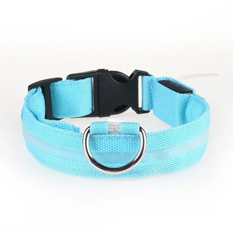 LED-hundhalsband