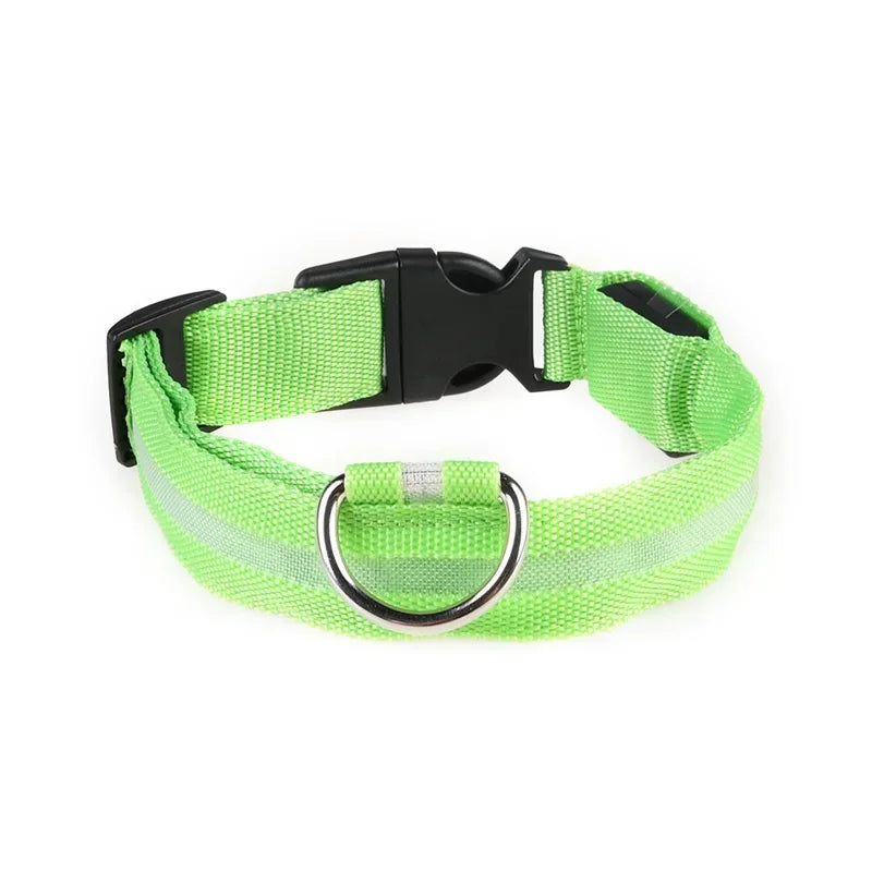 LED-hundhalsband
